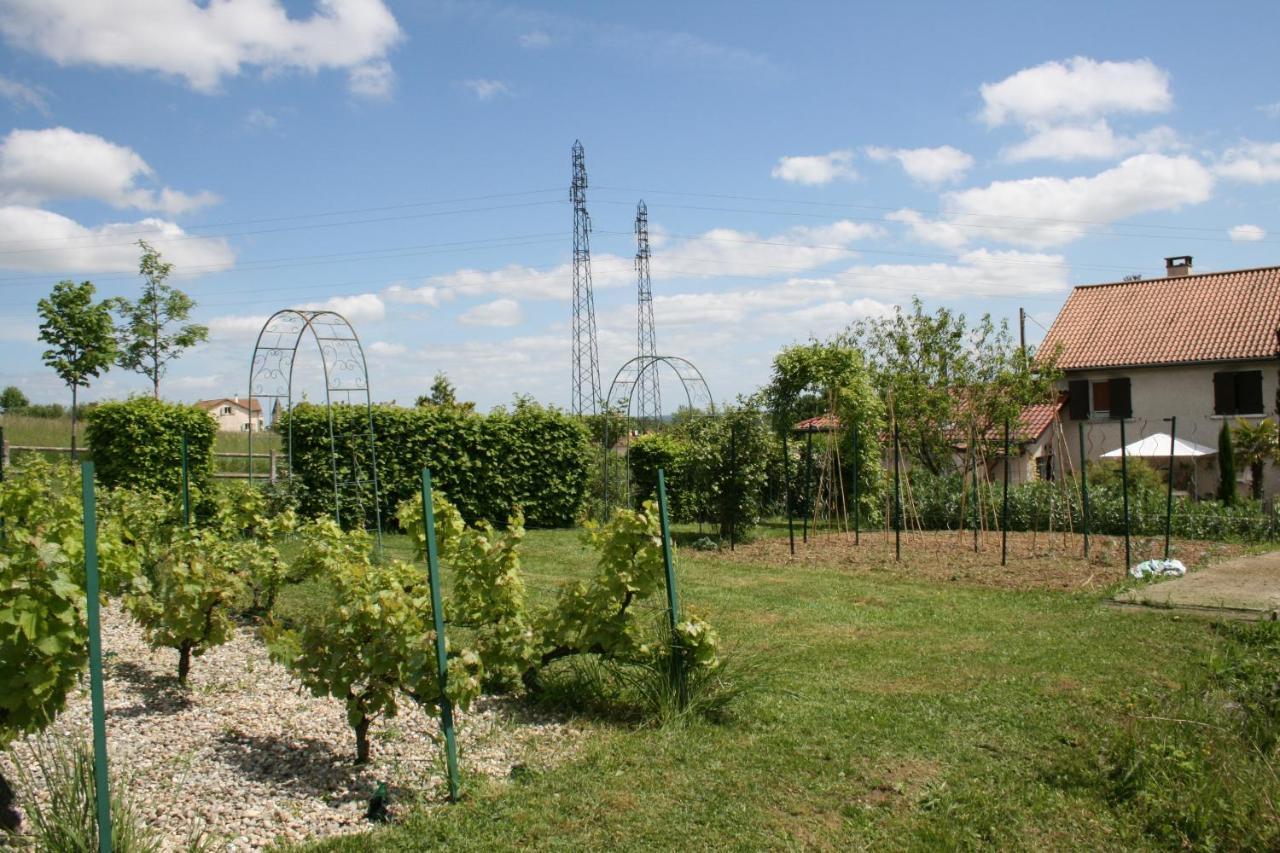 1 Bedroom House 20Min Walk To Centre In Tournus Exteriér fotografie